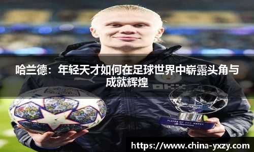 db旗舰官网