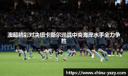 db旗舰官方网站
